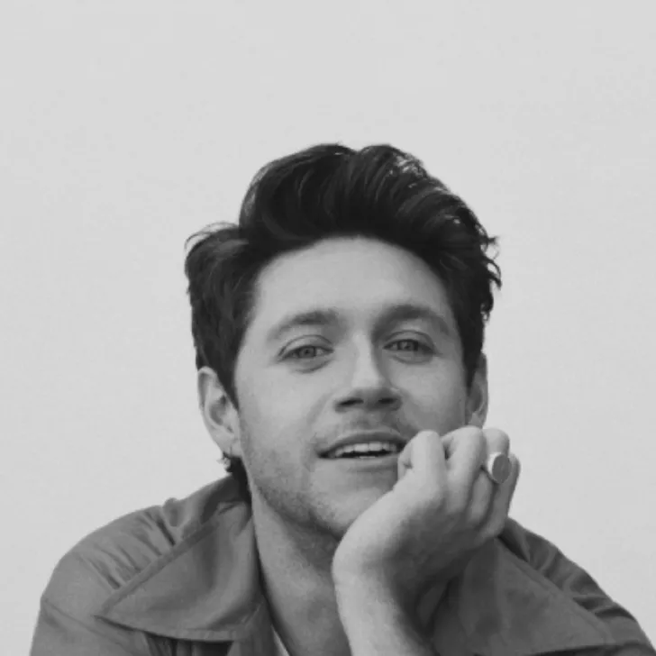 chat with ai character: Niall Horan