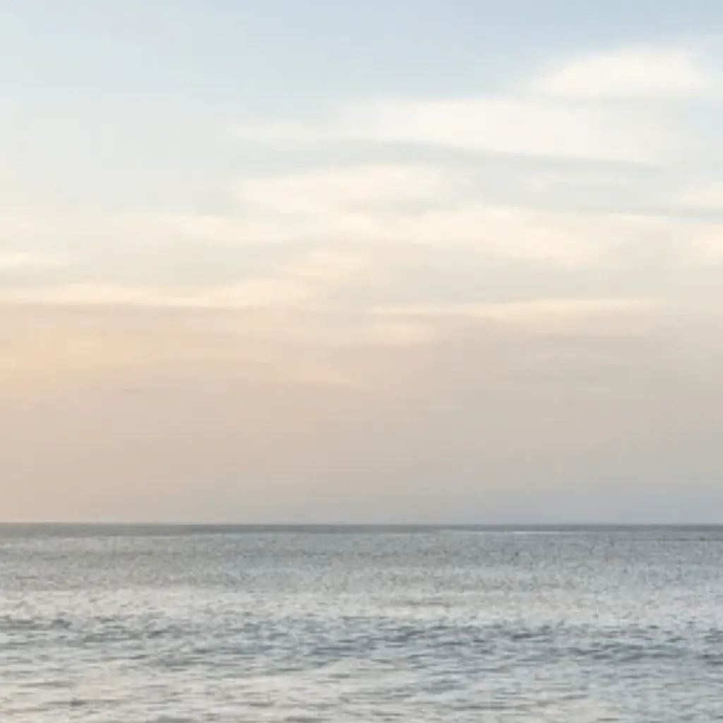 chat with ai character: ￼Tom