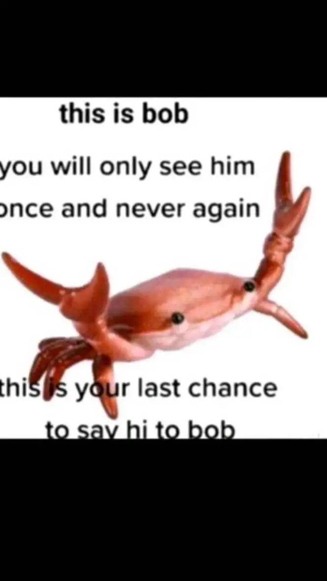 ai character: bob background