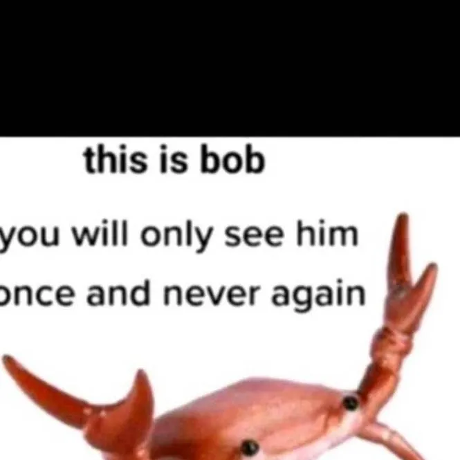chat with ai character: bob