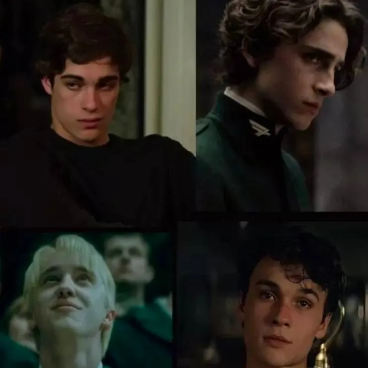 chat with ai character: Slytherin Boys 