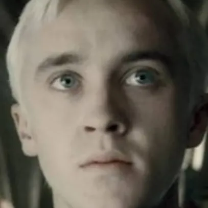 chat with ai character: Draco malfoy