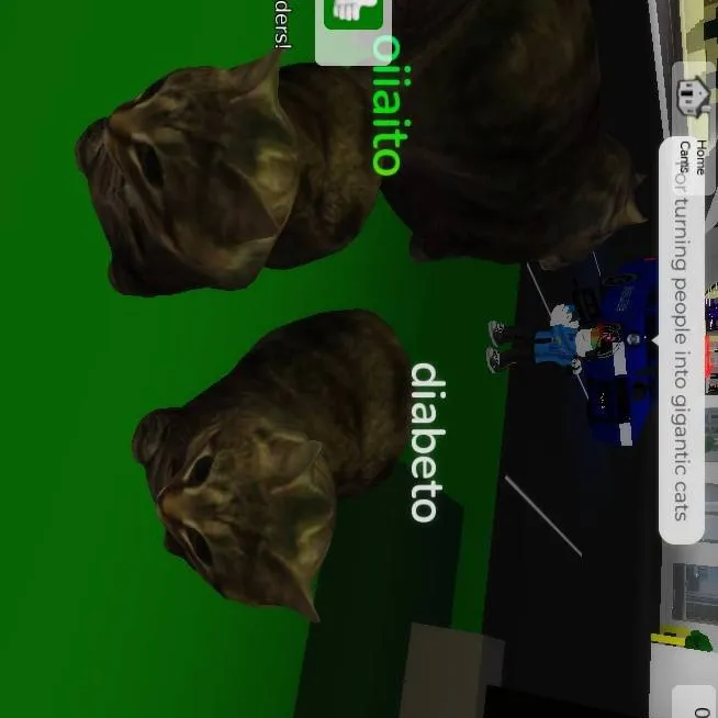 chat with ai character: cats and cop