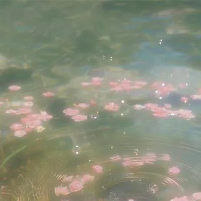 chat with ai character: my class