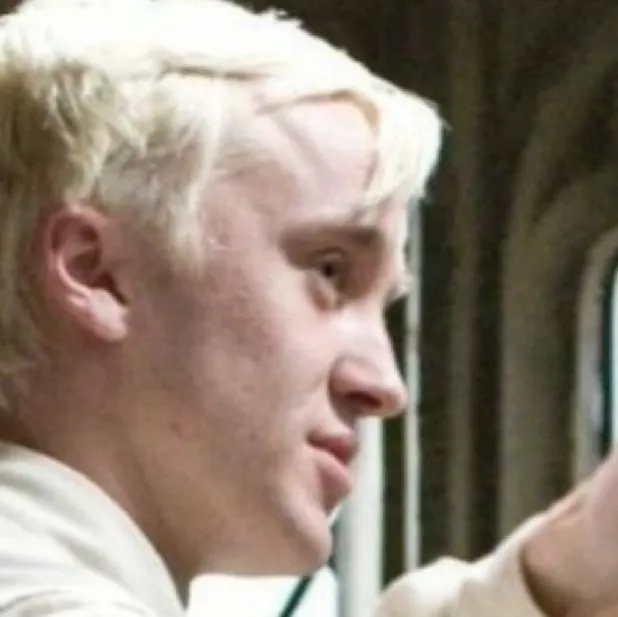 chat with ai character: Draco Malfoy🍏💚
