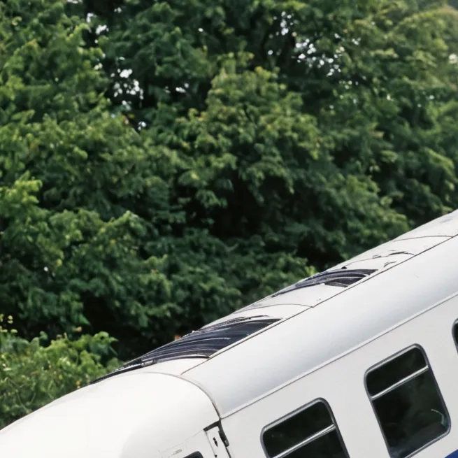 chat with ai character: Car vs train crash