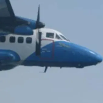 chat with ai character: Small plane fall