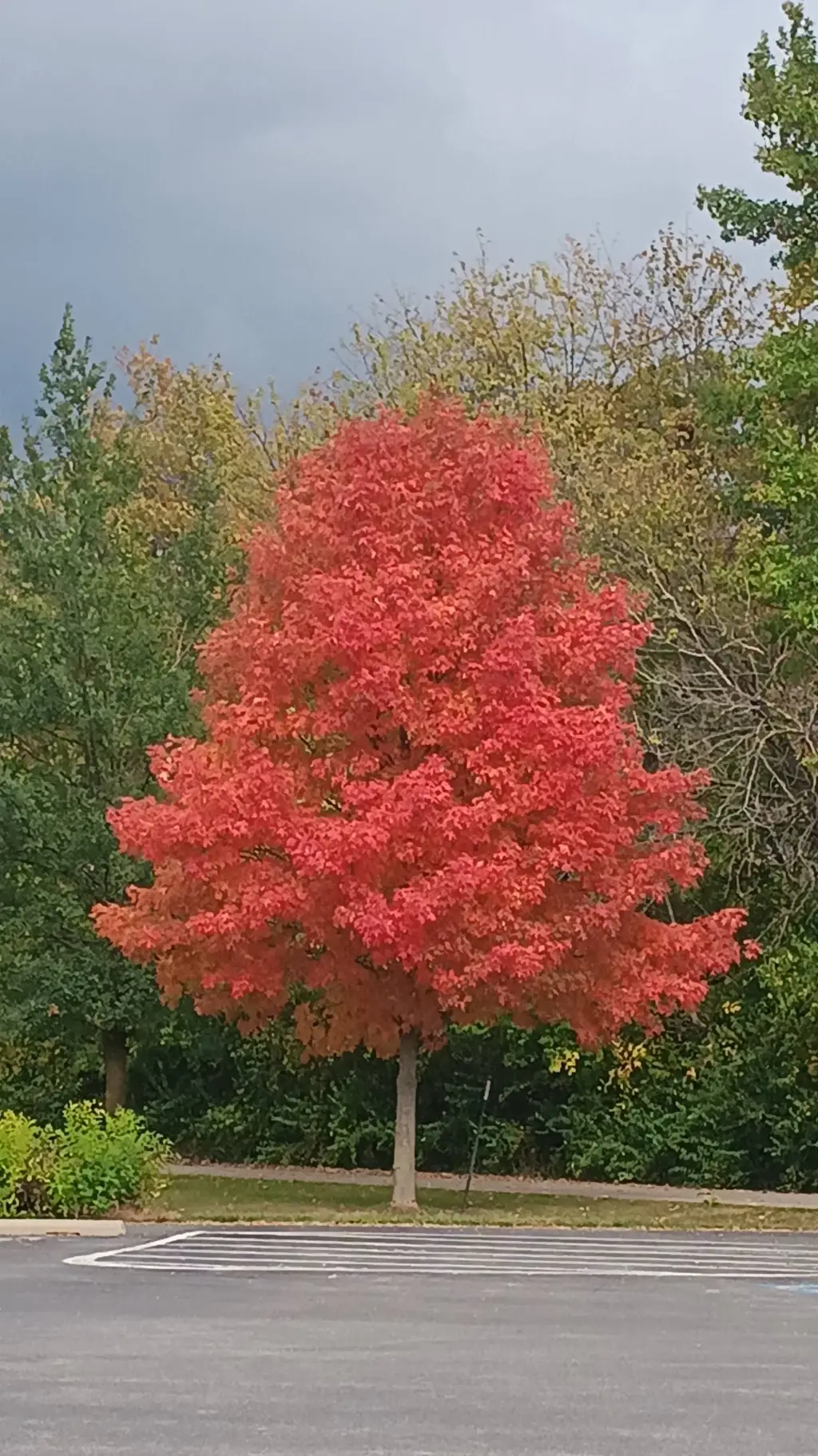 ai character: Demon Slayer Ships background