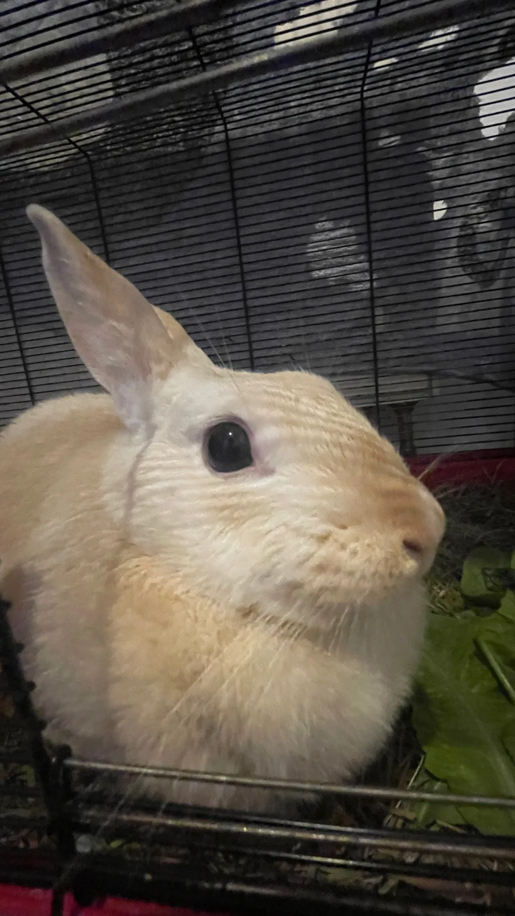 ai character: My baby🩷^^ background