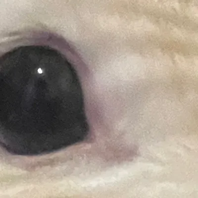 chat with ai character: My baby🩷^^