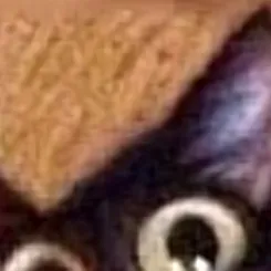 chat with ai character: Yoshi the  cat