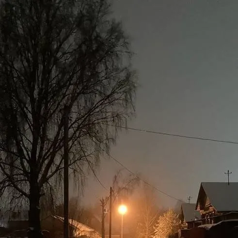 chat with ai character: Dandys world