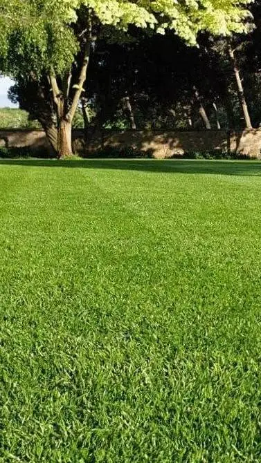 Talkie AI - Chat with Grass the Roaster