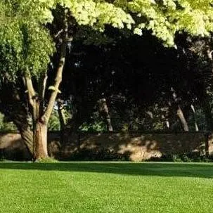 chat with ai character: Grass the Roaster