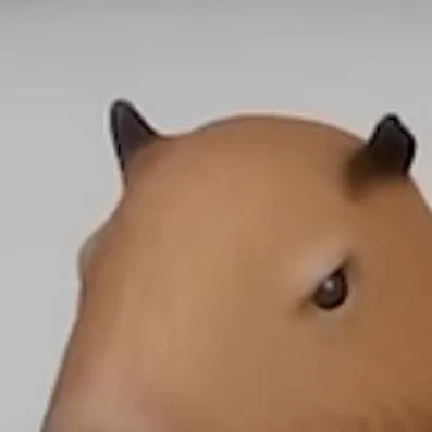 chat with ai character: capybara chasing u
