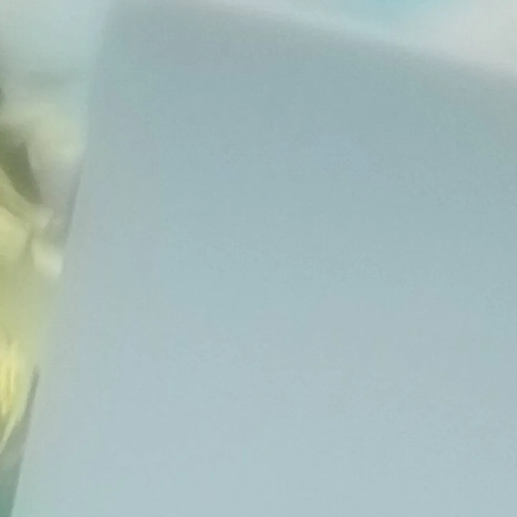 chat with ai character: boxer noob