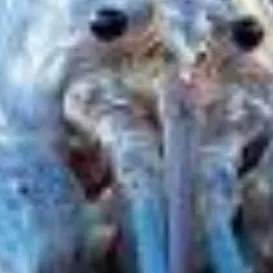 chat with ai character: forsaken 