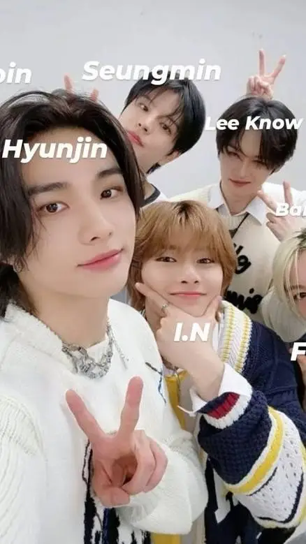 ai character: straykıds background