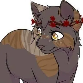 chat with ai character: u r medicine cat:3