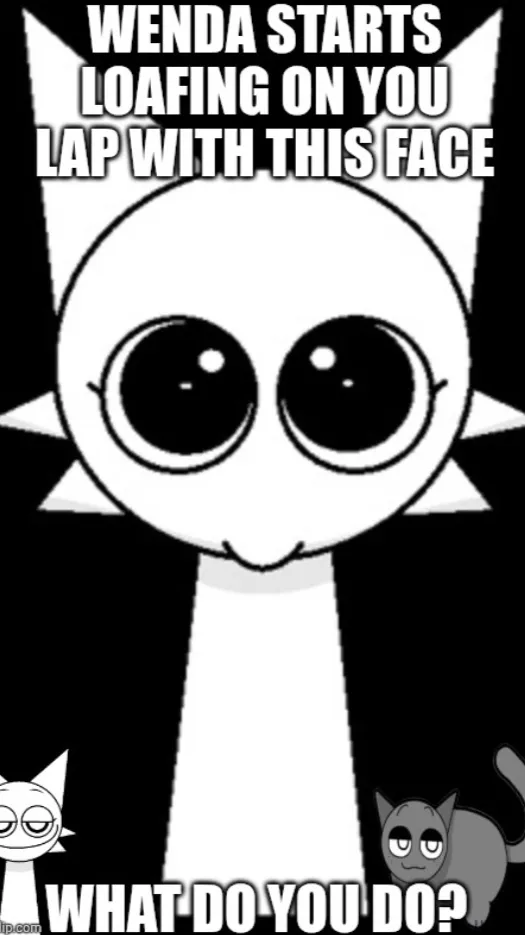 Talkie AI - Chat with Wenda (cat?!)