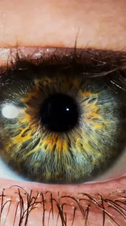 ai character: Eye color, power background