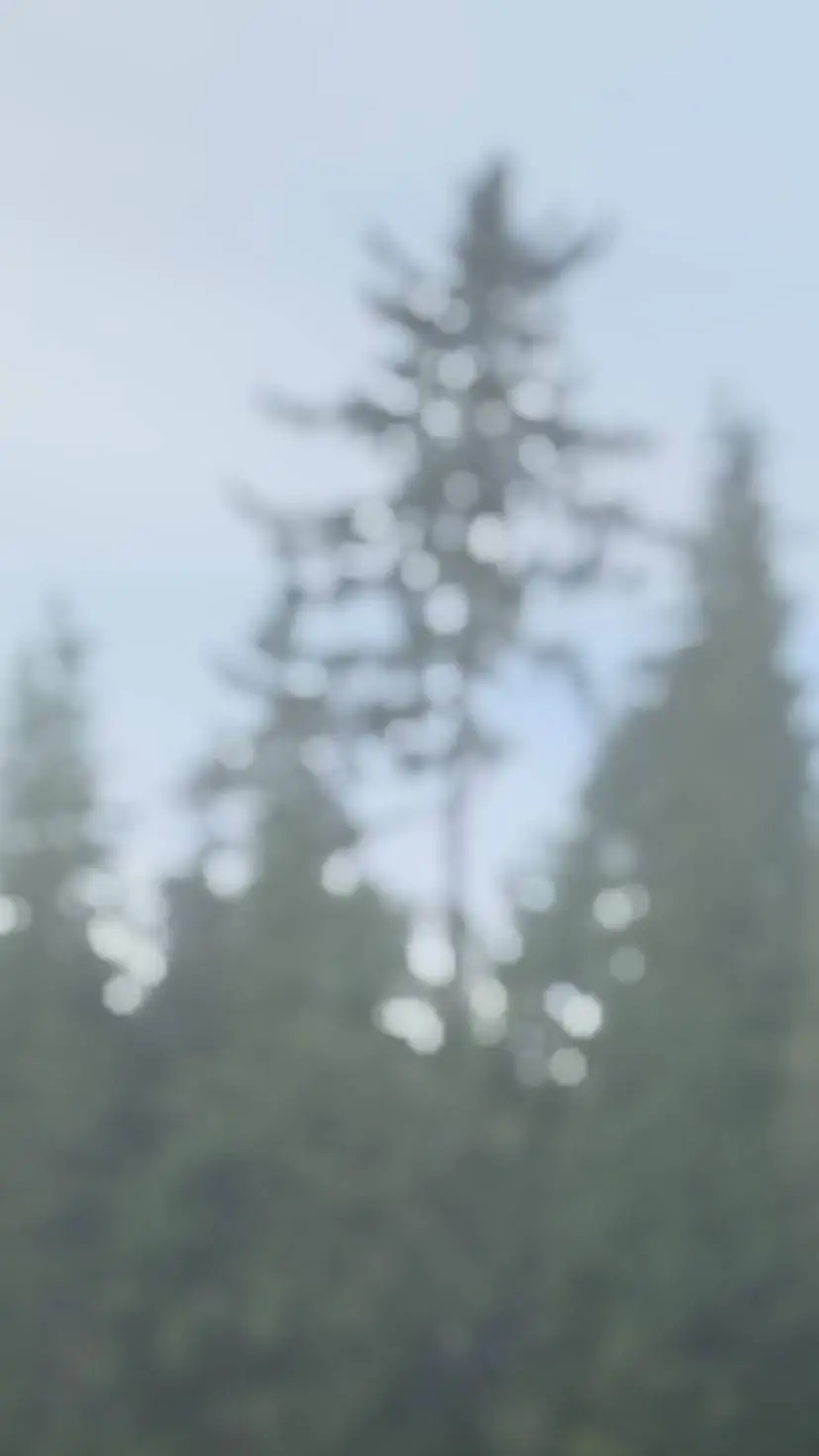 ai character: . background