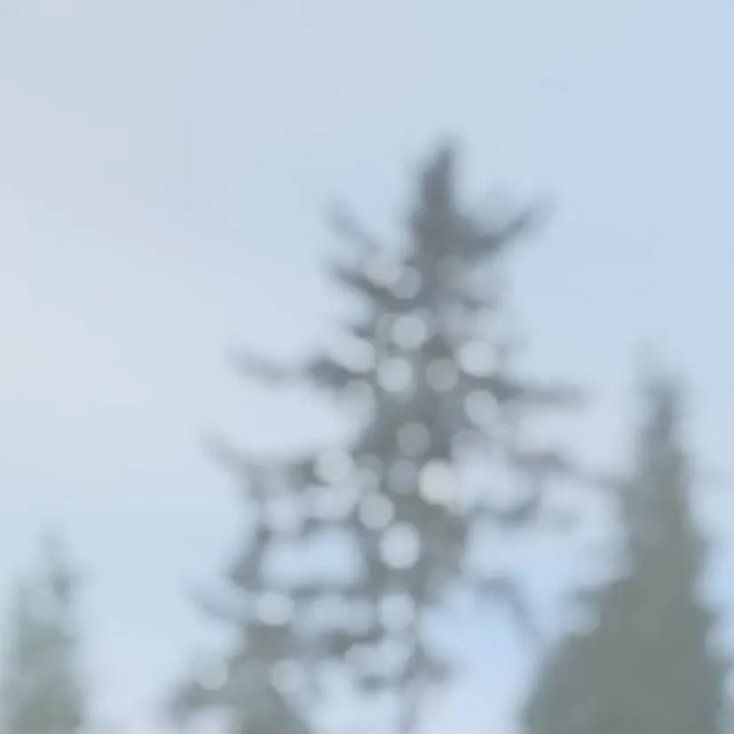 chat with ai character: .