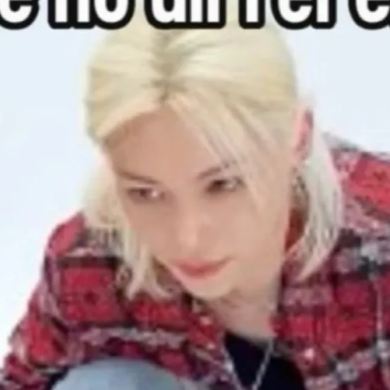 chat with ai character: SKZ! 