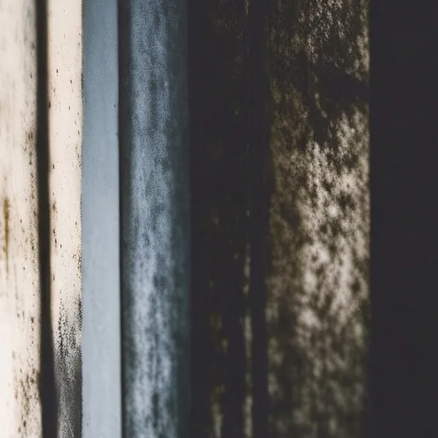 chat with ai character: mria