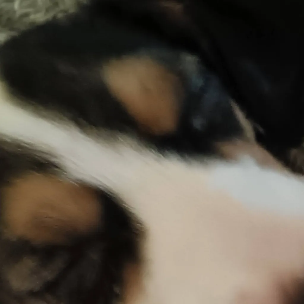 chat with ai character: kdjdbwke