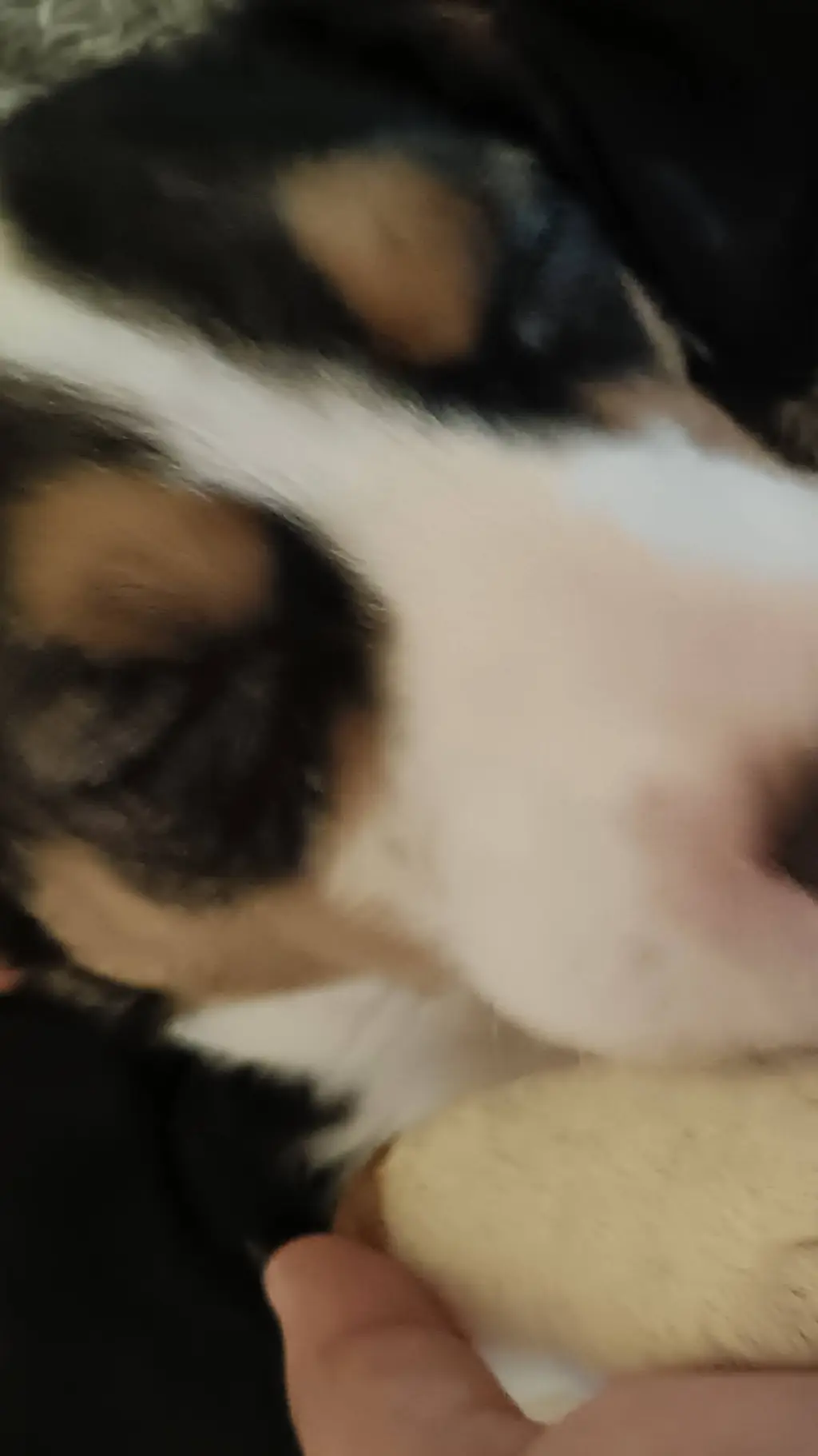 ai character: kdjdbwke background