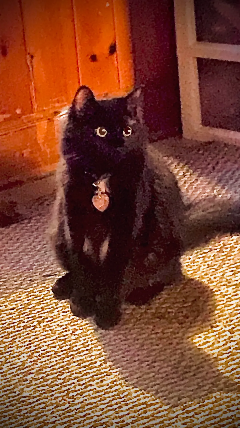 ai character: ￼ Gotham background