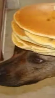 ai character: Pancake Dog background