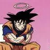 chat with ai character: DUMMY GOKU