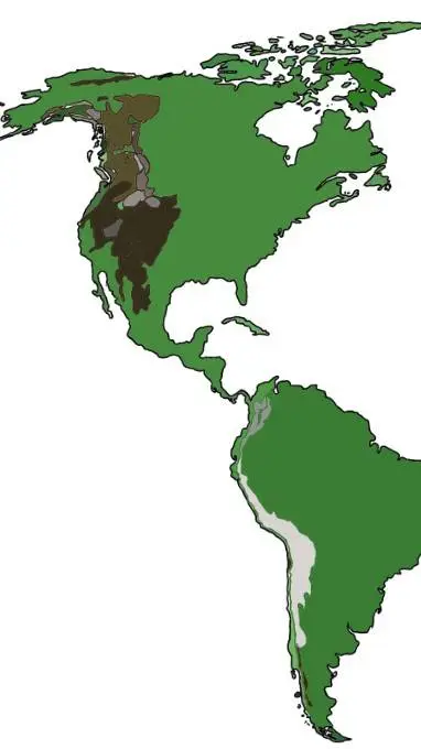 ai character: CH North America background