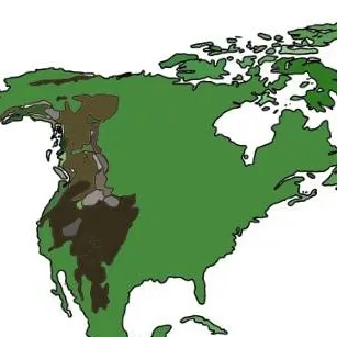 chat with ai character: CH North America