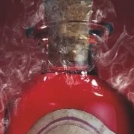 chat with ai character: Draco love potion