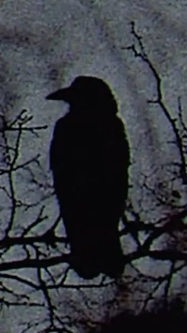 ai character: raven background