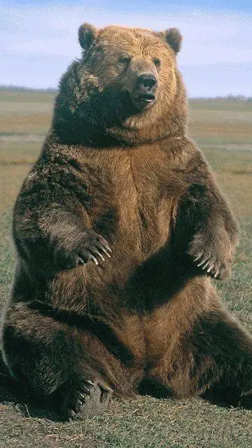 ai character: bear background