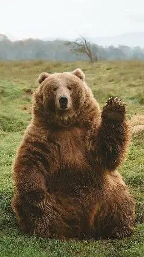 ai character: Kodiak bear background