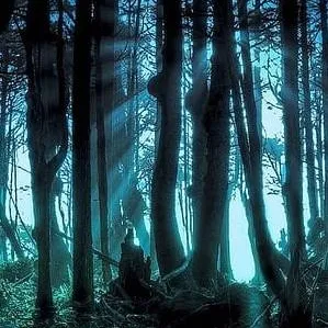 chat with ai character: Floresta  Sombria 