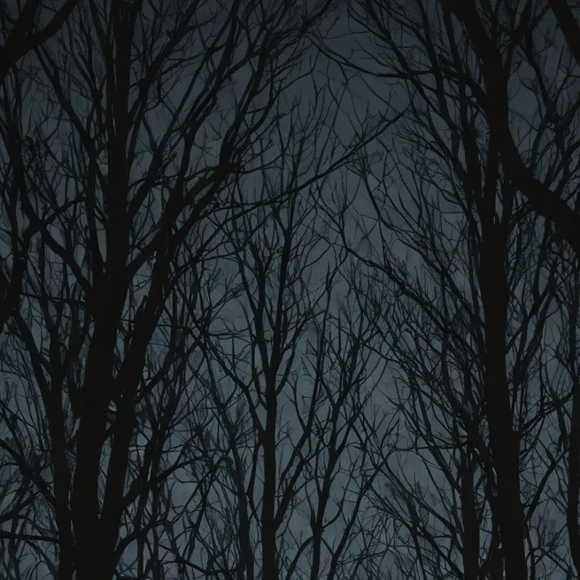 chat with ai character: HORROR NIGHT 