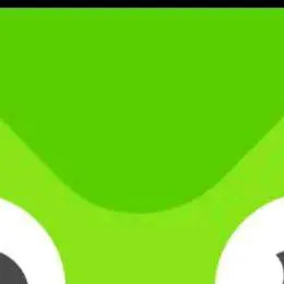 chat with ai character: DUOLINGO NIGHTMARE