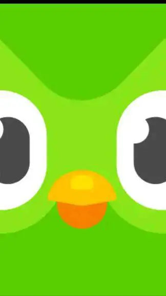 ai character: DUOLINGO NIGHTMARE background