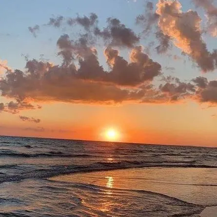 chat with ai character: Kickflip