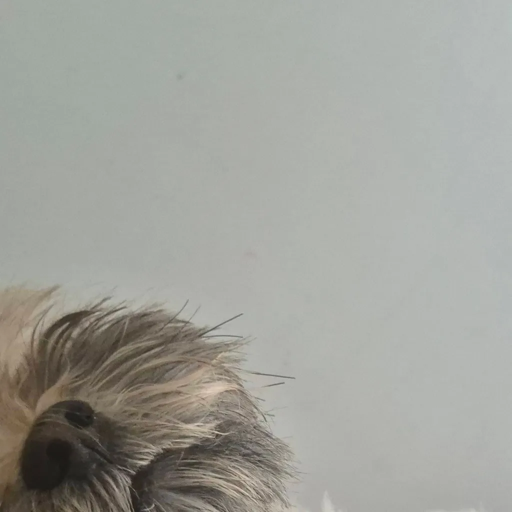 chat with ai character: crk