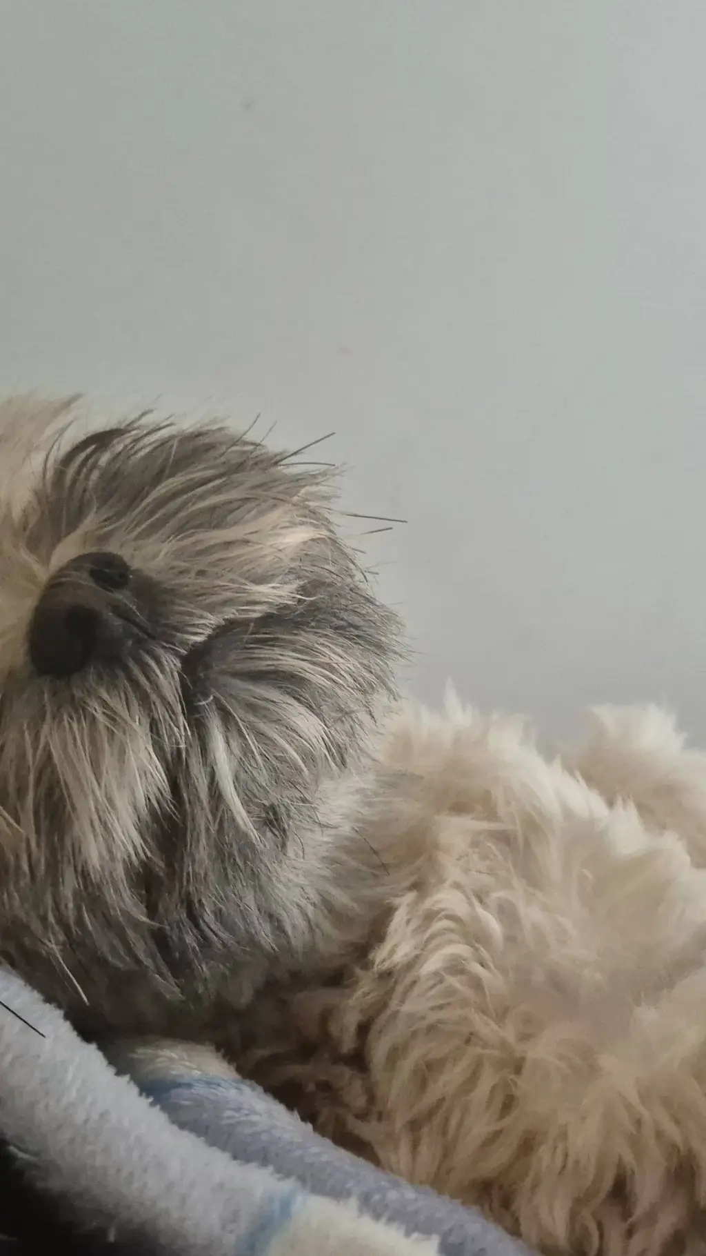 ai character: crk background