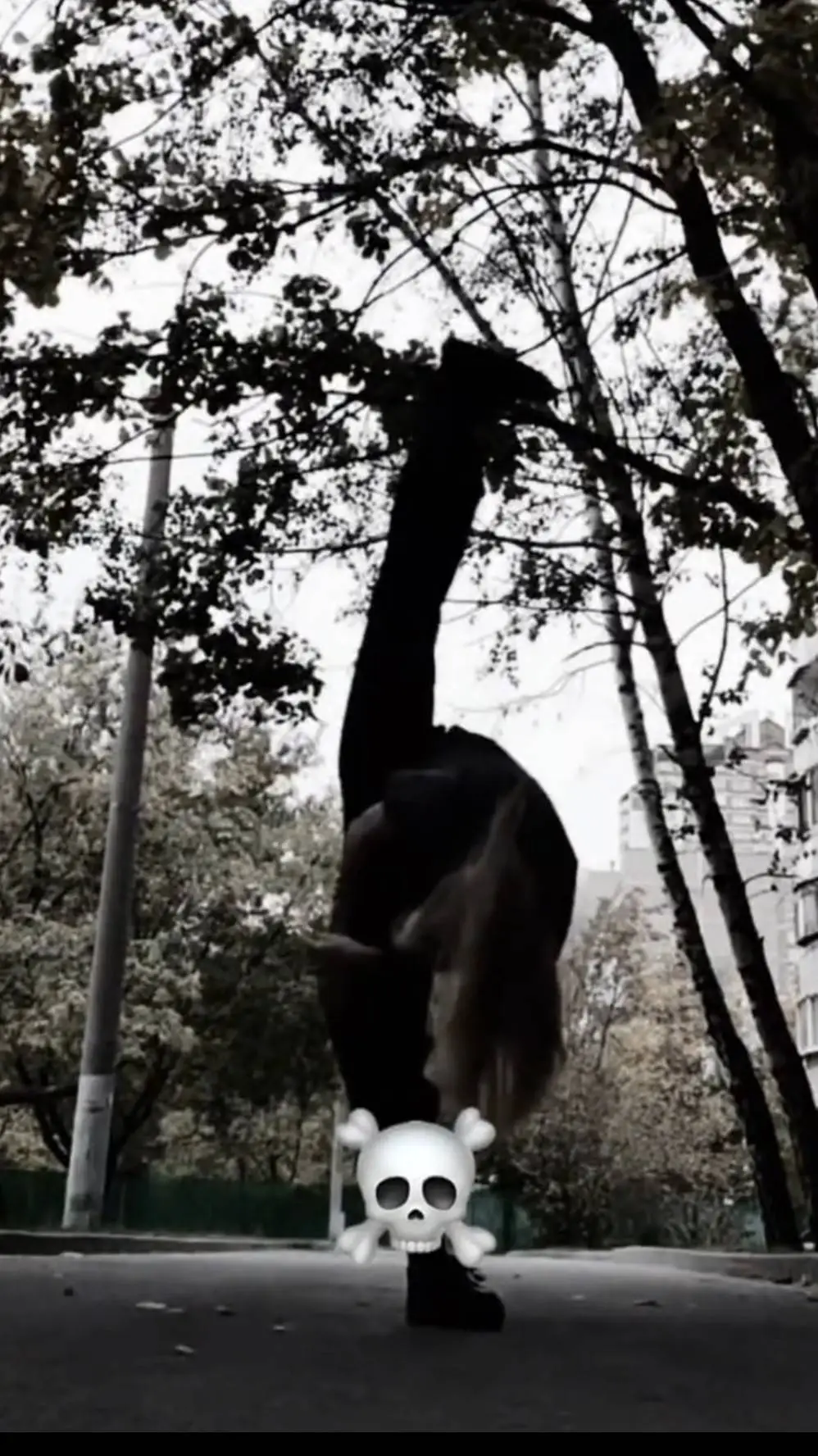 ai character: mha Y/N singer💯 background