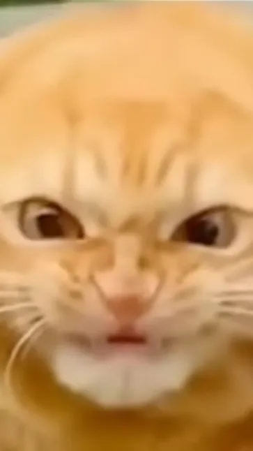 ai character: GaRfEiLd background