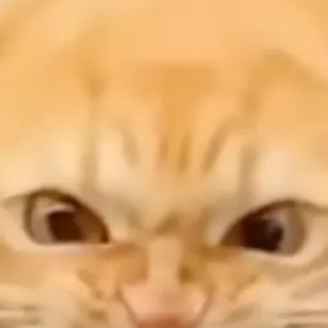 chat with ai character: GaRfEiLd